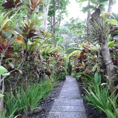 Pondok Pisces Bungalows Balian Beach Selemadeg  エクステリア 写真