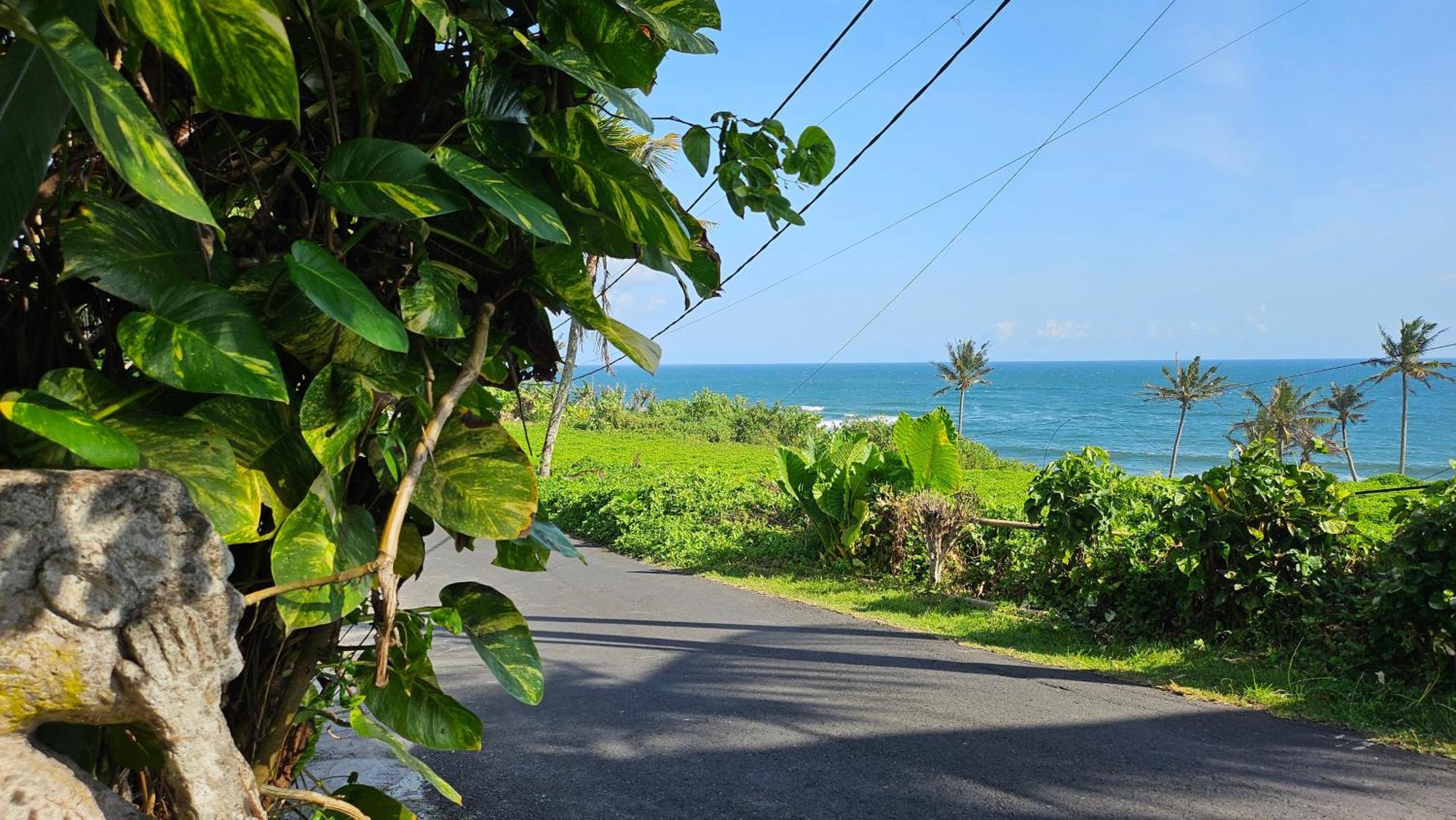 Pondok Pisces Bungalows Balian Beach Selemadeg  エクステリア 写真
