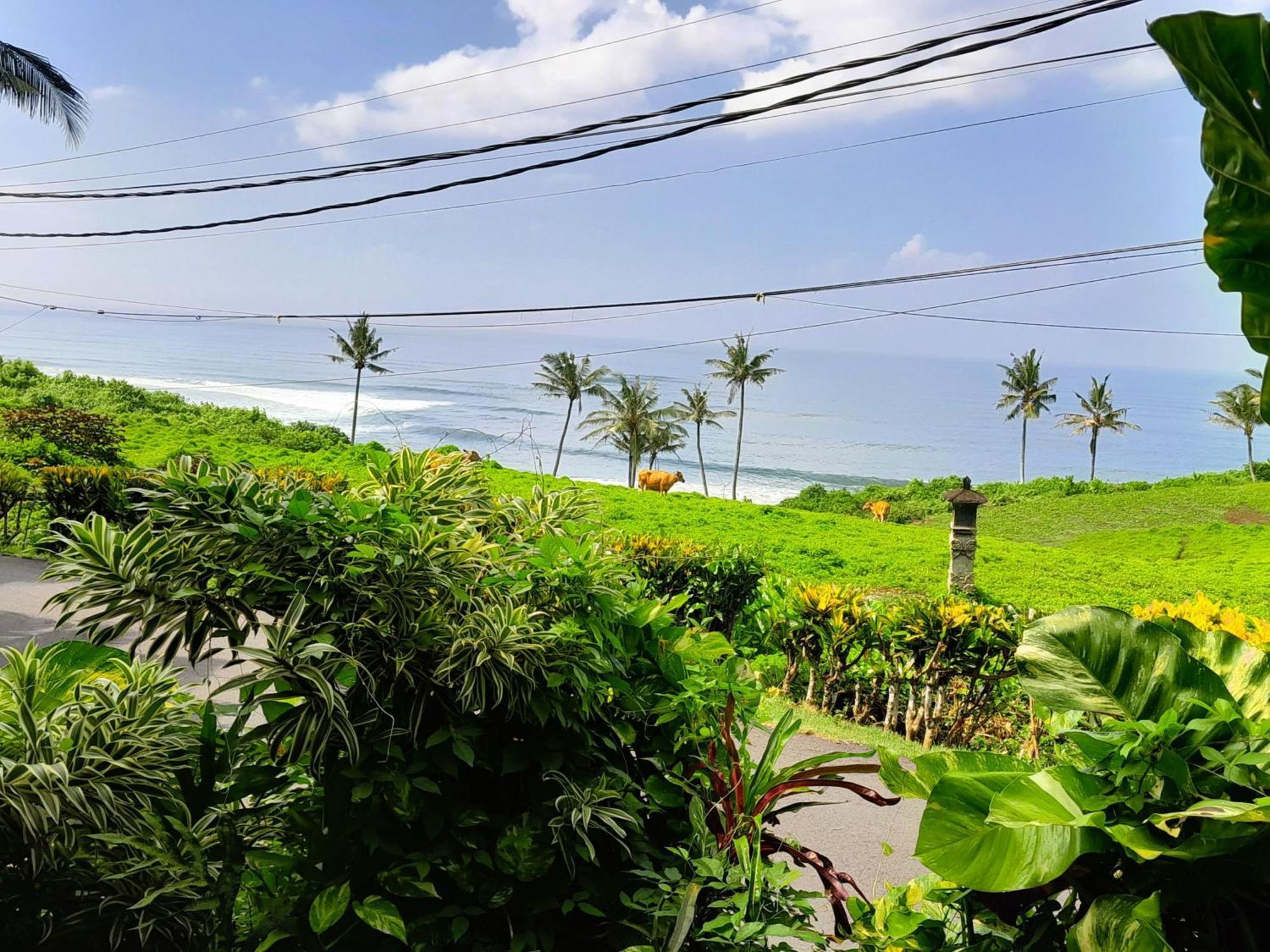 Pondok Pisces Bungalows Balian Beach Selemadeg  エクステリア 写真