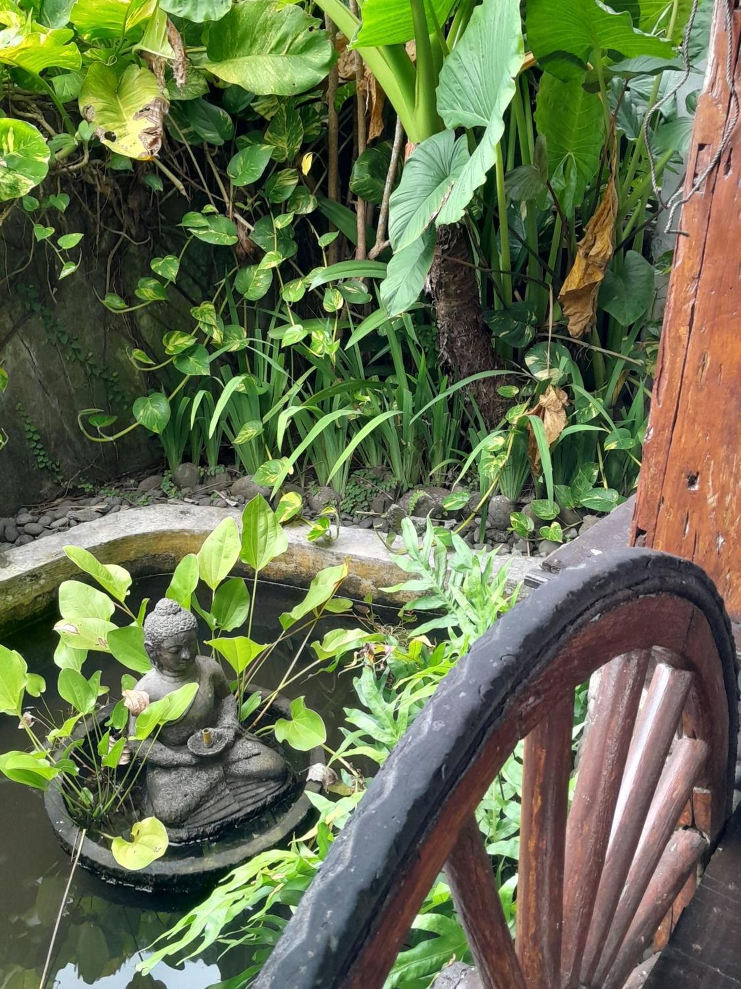 Pondok Pisces Bungalows Balian Beach Selemadeg  部屋 写真