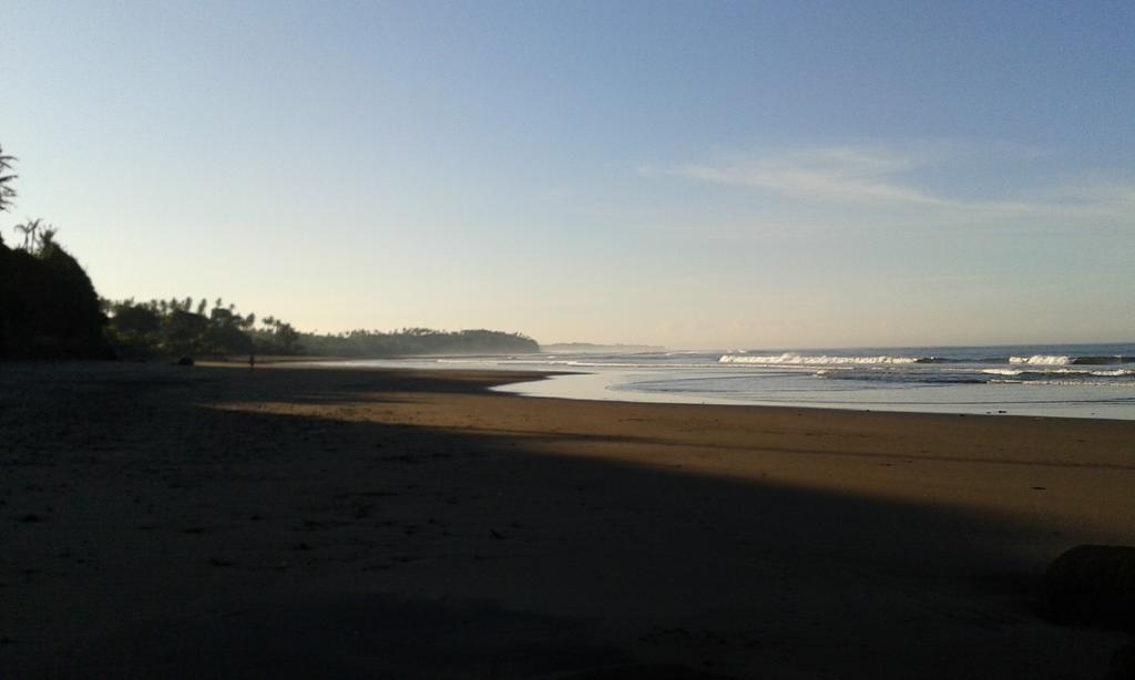 Pondok Pisces Bungalows Balian Beach Selemadeg  エクステリア 写真