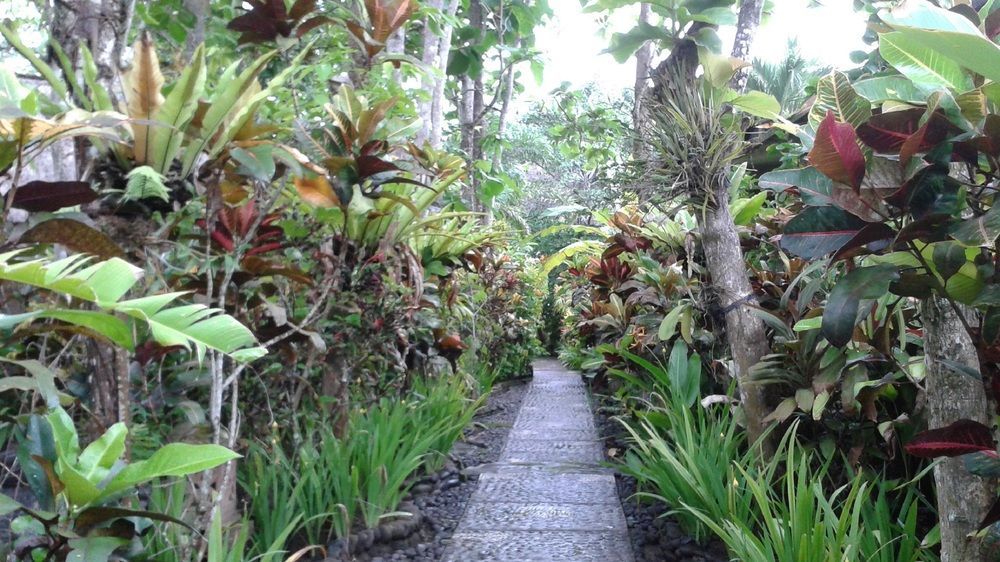 Pondok Pisces Bungalows Balian Beach Selemadeg  エクステリア 写真